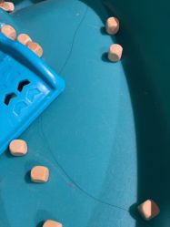 -波比一号儿童乐园(圣熙8号店)