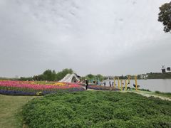 -金卉庄园