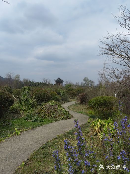 云漫湖生态度假公园图片