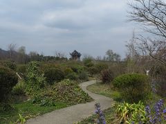 -云漫湖生态度假公园