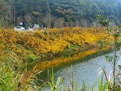 -广州市石门国家森林公园