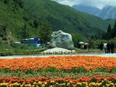 -黄龙山原始森林景区