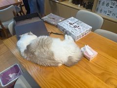 -剧狐剧本杀(徐汇1号店)