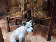 -南花桥羊肉馆老字号(乌镇店)