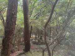 -梦姑塘文化公园