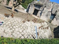 -哈尔滨北方森林动物园
