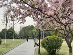 -成都南湖公园