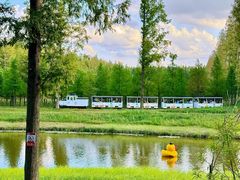 -黄海国家森林公园