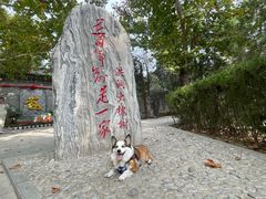 -大槐树寻根祭祖园