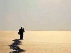 -松咖啡自助餐厅·松北香格里拉