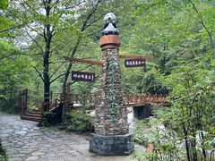 -青峰峡国家森林公园