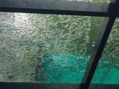 -外婆船宴餐厅·外婆喊你回家吃饭