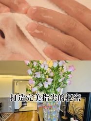 -Fancy梵汐·轻奢量肤定制