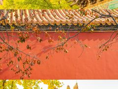-故宫博物院(故宫)