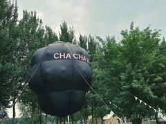 -蒲河岛湿地公园