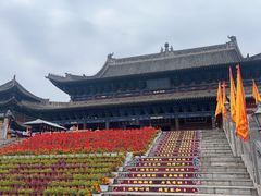 -大槐树寻根祭祖园