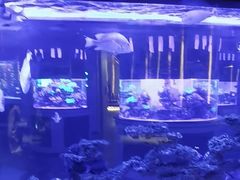 -上和臻品中国菜(花园街店)