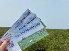 -北海金海湾红树林生态旅游区