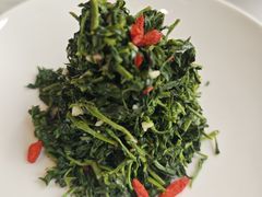 红果枸杞苗-清真·宁夏印象·盐池滩羊肉体验店(江宁路店)