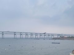 -黑石礁公园