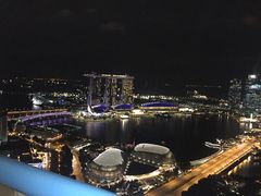 -新加坡瑞士史丹福酒店