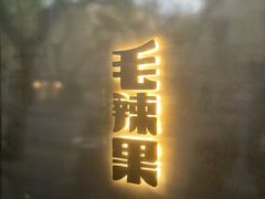 -毛辣果·酸