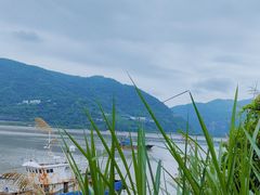 -北岐滩涂