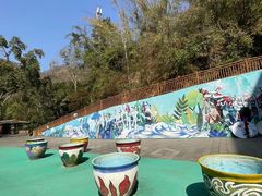 -西双版纳原始森林公园