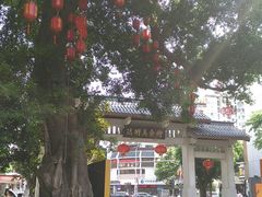 景观位-老福洲(西洪路店)