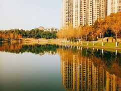 -天鹅湖体育公园