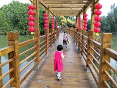 -大湾区中央湿地公园