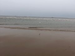 -金梦海湾浴场