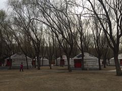 -赛汗塔拉风情园