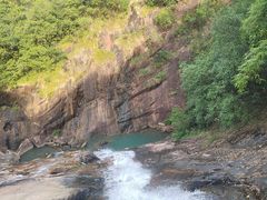 -广州白江湖森林公园