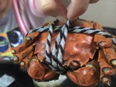 -喜洋洋蟹庄(阳澄湖店)