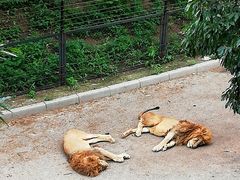 -大连森林动物园