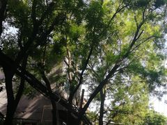 -大学习巷清真寺