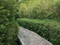-大屏嶂森林公园