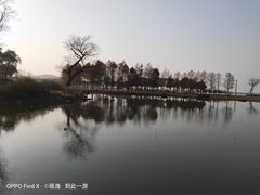 -滆湖低碳生态公园