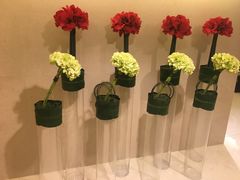 -香港皇家太平洋酒店