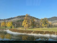 -千年银杏谷文化旅游区