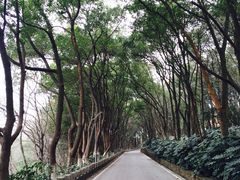 华东疗养院-上海市保健医疗中心(华东疗养院)