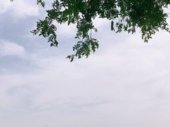 -灞河西岸滨河公园