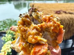 -水岸居湖景农家乐·阳澄湖大闸蟹