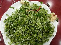 android_upload_pic-艳阳天(明德北路店)