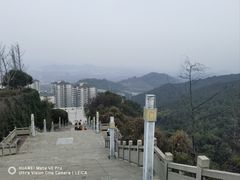 -铁山坪森林公园