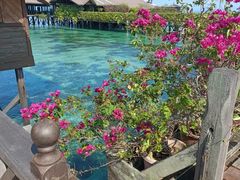 -卡帕莱度假村(西巴丹岛)