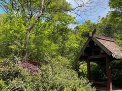 -杭州半山国家森林公园