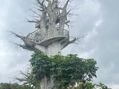 -芒洲湿地公园