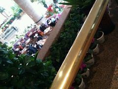 -南京维景国际大酒店(南京博物院店)